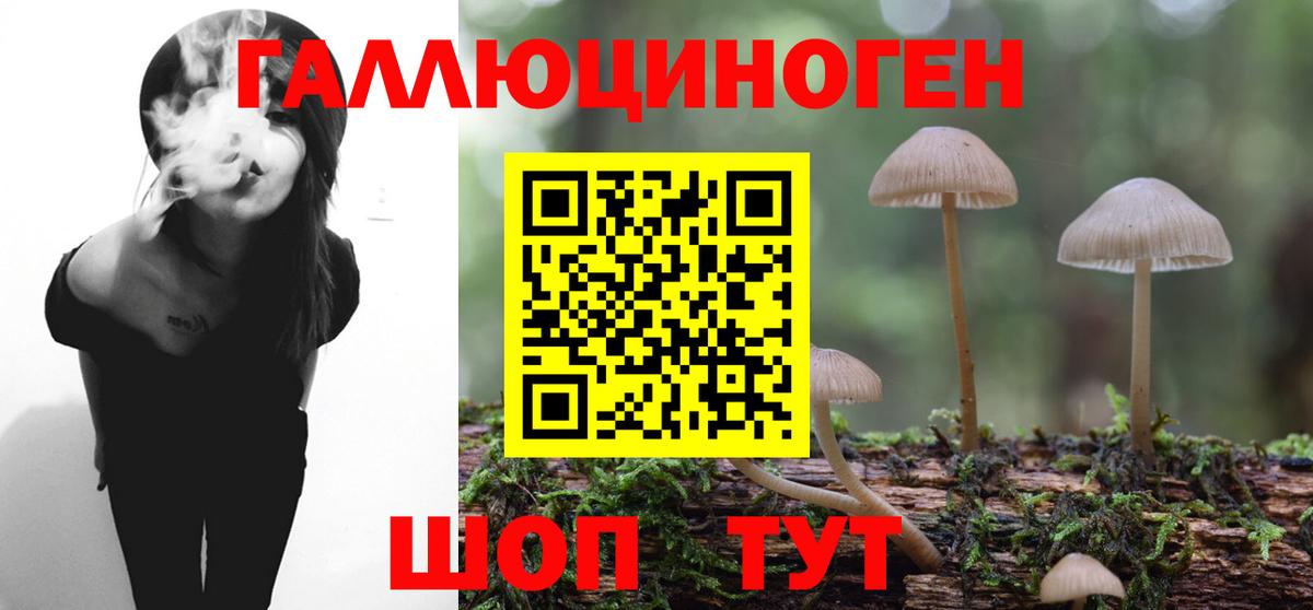 Галлюциногенные грибы GOLDEN TEACHER Елец