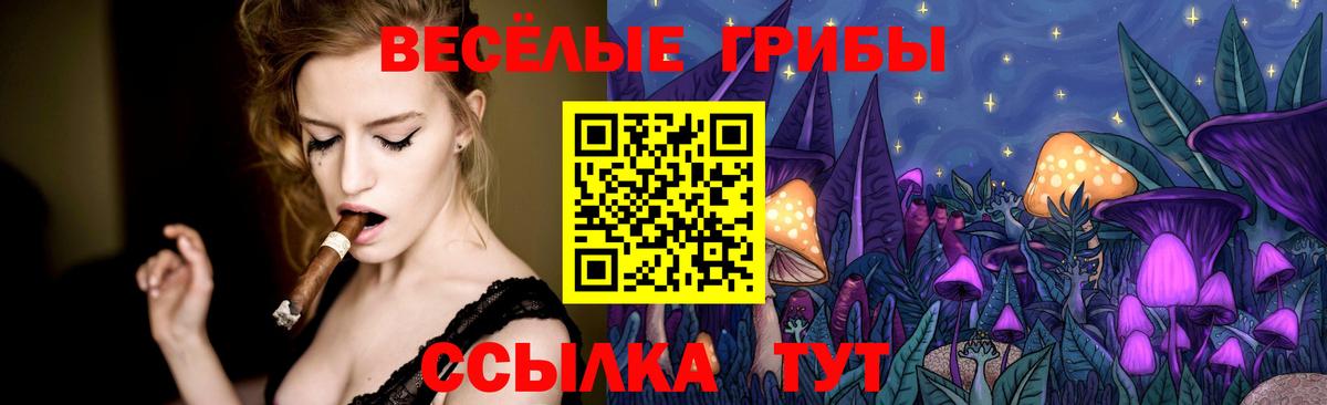 Елец  Псилоцибиновые грибы Psilocybe  Вход с VPN  Псилоцибиновые грибы прущие грибы 